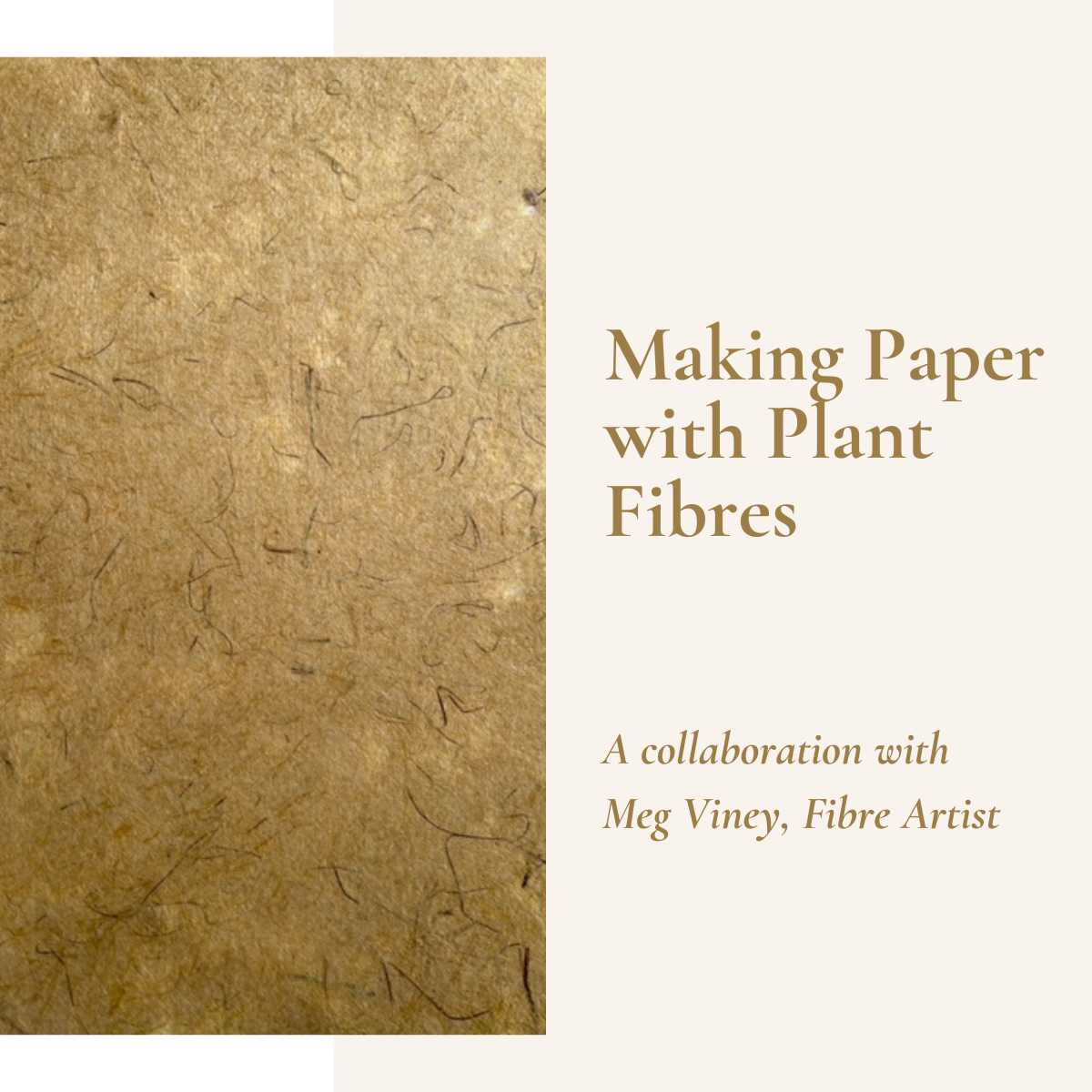 Making Paper with Plant Fibres: A Guide for Craft Enthusiasts