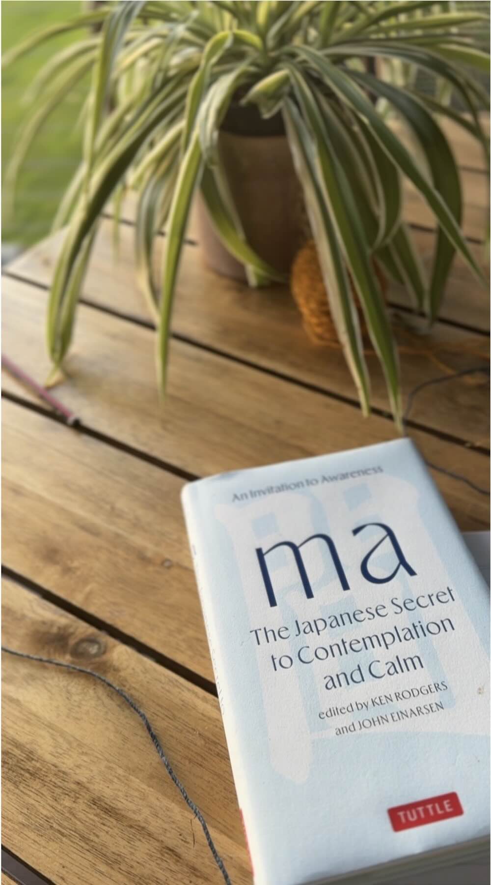 Helen Otways finds solice in the Japanese concept of "Ma".