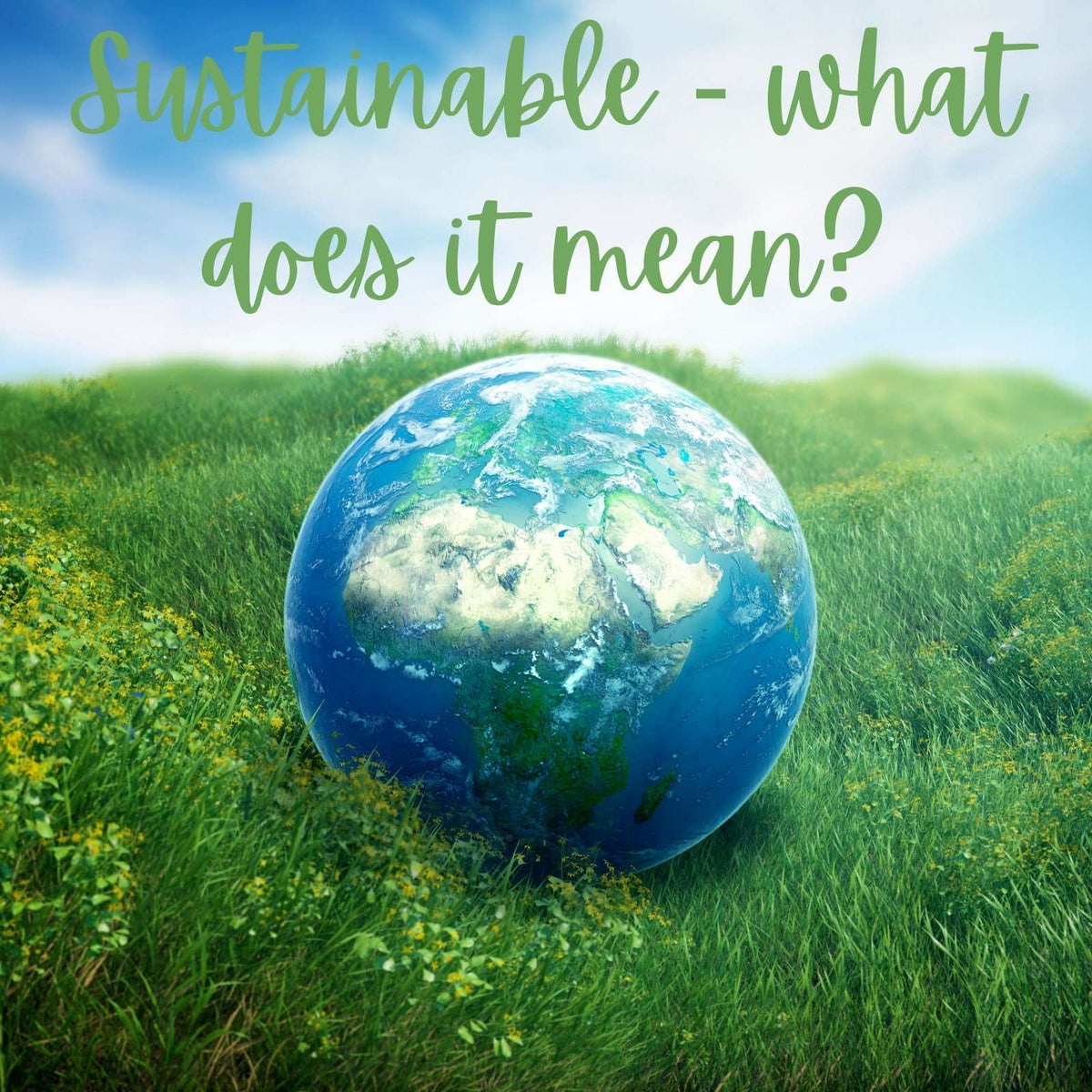 Blog - Exploring Sustainability – ORA Fabulous Fibres