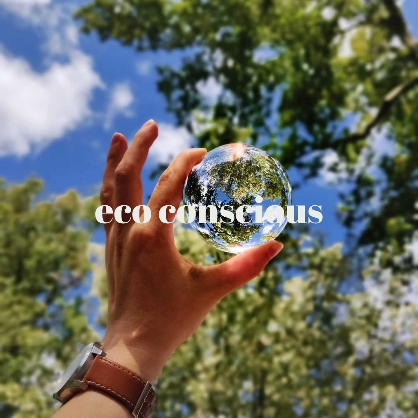 A hand holding a glass ball amongst some trees representing eco awareness