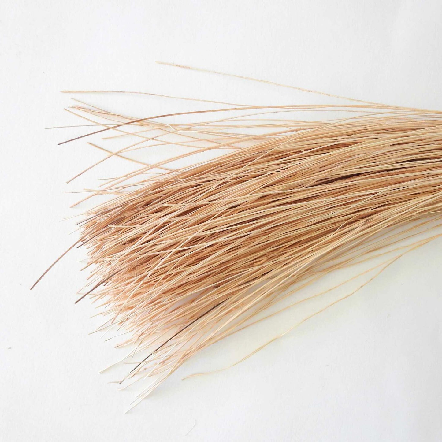 Palm Fibre is perfect for baskets, weaving, decor and hats.