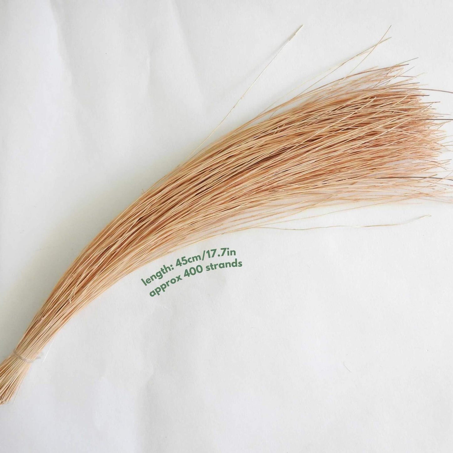 Palm Fibre is eco-friendly, biodegradable and sustainably harvested.