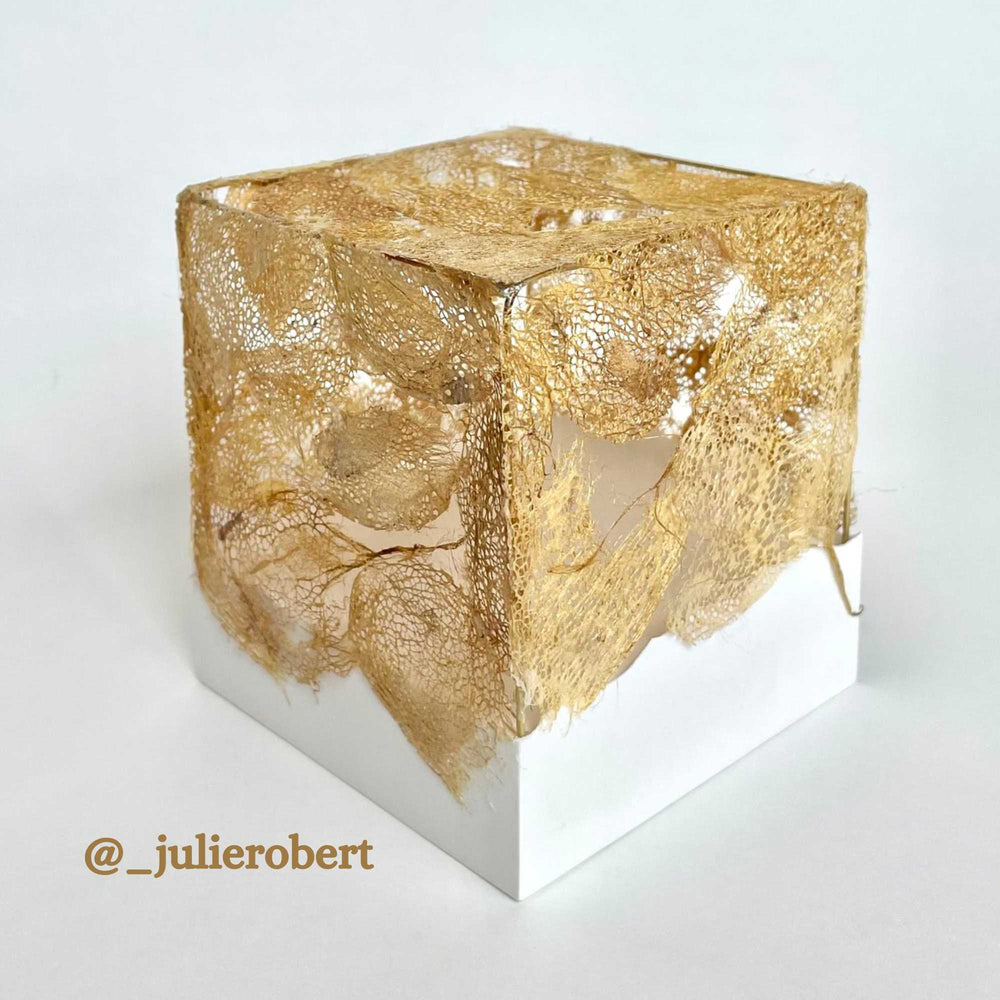 sculpture by artist julie robert using the golden cricula cocoons