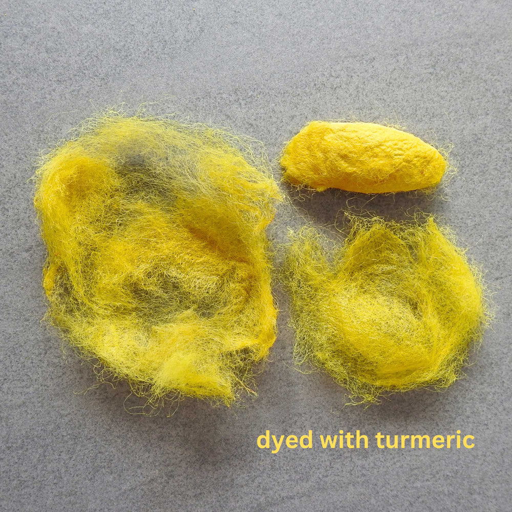 silk from eri white silk cocoon, dyed with natural turmeric and teased from the cocoon