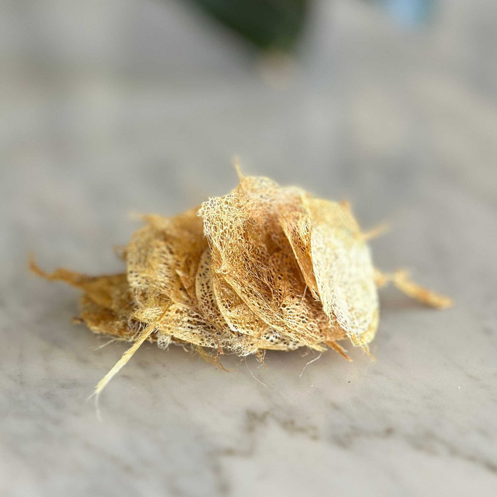 
                      
                        bag of golden wild silk cocoons for crafting, stitching, embellishments. natural and cruelty free
                      
                    