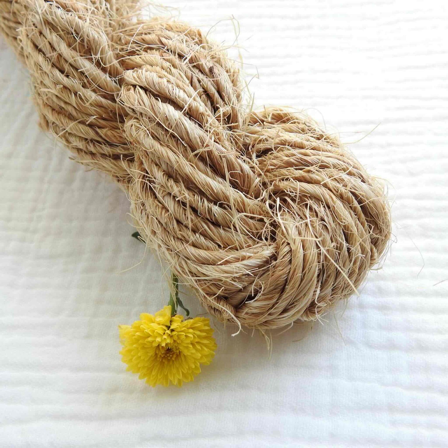 Natural Sisal (Agave) Fibre ready for use in basketry and weaving.