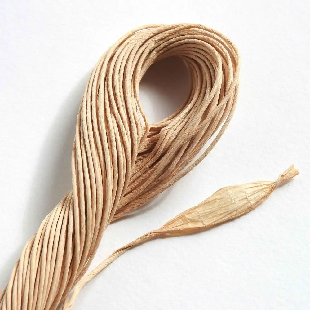 
                  
                    Twisted Paper String for weaving, twining, crochet, knit, craft. Skeins in cream, kraft and black. Make unique organic sculpture, baskets, bags, hats, paper flowers.
                  
                